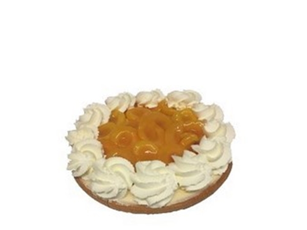 Abrikozenvlaai 8 pers.